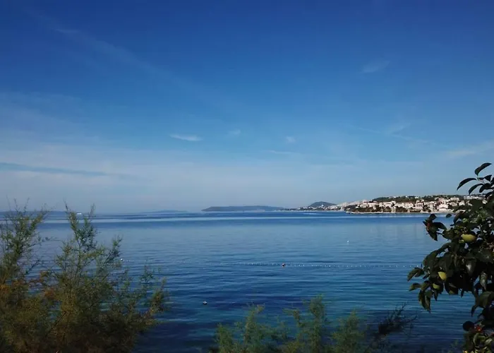 Bozikovic 365 *