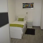 Bozikovic 365 *